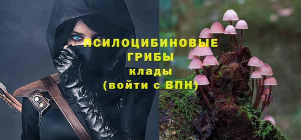 ECSTASY Алзамай